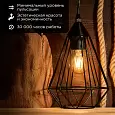 Филаментная лампочка REXANT А60 7.5 Вт 750 Лм 2700 K E27 прозрачная 604-148 REXANT