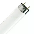 Лампа TL-D 58 W люминесцентная G13 T8 6500K 4000лм 1514,2мм Philips 872790081590000 PHILIPS