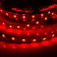 LED лента 24 В, 10 мм, IP23, SMD 5050, 60 LED/m, цвет свечения RGB 141-635 LAMPER
