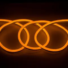 504511_1.jpg