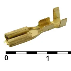 81008_1.jpg