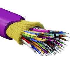 rndt4c48mg03_1.jpg