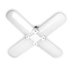 5043350_1.jpg