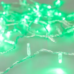 031640_1.jpg