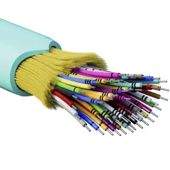 rndt3c48aq01_1.jpg
