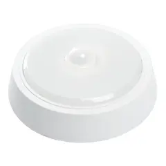41790_1.jpg