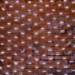 217_115_1.jpg