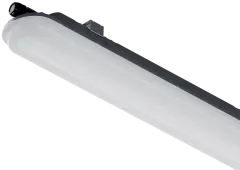 8927_7960000000003_1.jpg