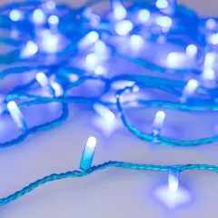 031199_1.jpg