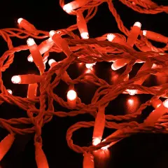305_232_1.jpg