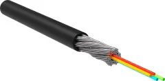 foc5002_u_io08_fl_hf_0500_1.jpg