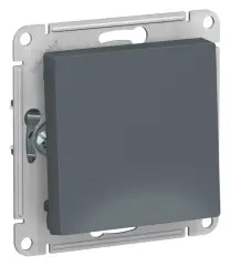 atn000721_1.jpg