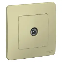 blnts000017_1.jpg