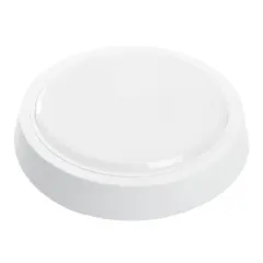41770_1.jpg