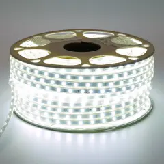 55245_1.jpg