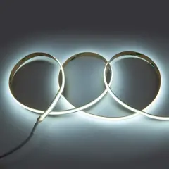 502922_1.jpg