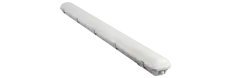 15648_1.jpg