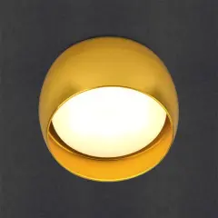 661336_1.jpg