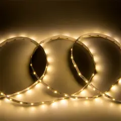 500010_1.jpg