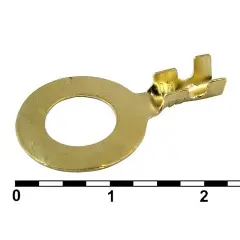 80988_1.jpg