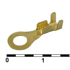 81003_1.jpg