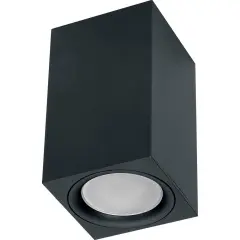 41198_2.jpg