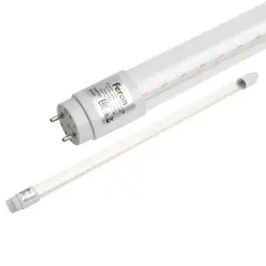 51662_1.jpg