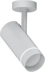 41492_2.jpg