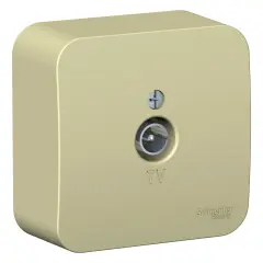blnta000017_1.jpg