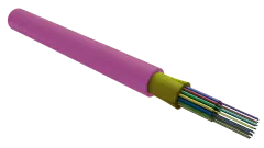 foc5004_d_in12_hf_0200_1.jpg