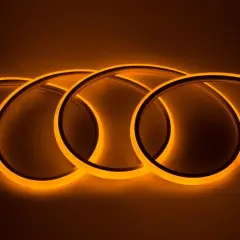 504514_1.jpg