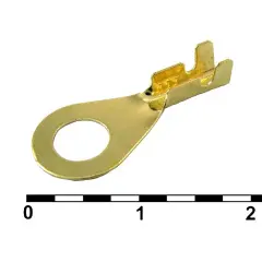 81004_1.jpg
