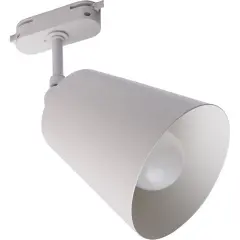 41070_2.jpg