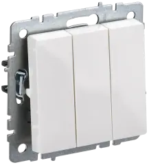 BR-V30-0-10-K01-PRO