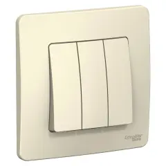 blnvs100502_1.jpg
