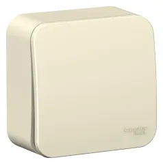blnca101012_1.jpg