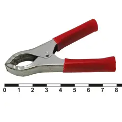 76431_1.jpg