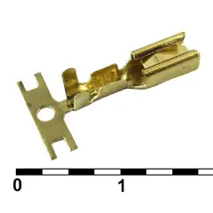 81007_1.jpg