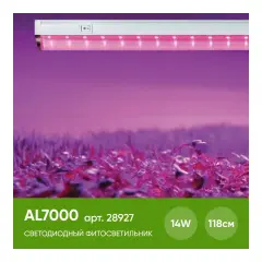 28927_2.jpg