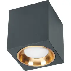 41200_2.jpg