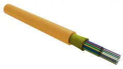 foc5002_d_in16_hf_0200_1.jpg