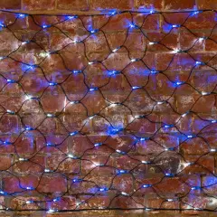 215_012_1.jpg