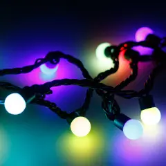 025586_1.jpg