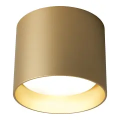 41912_2.jpg