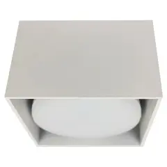 41992_2.jpg