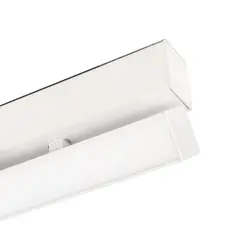 026990_1.jpg