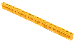 umk_ke1_c_1.jpg
