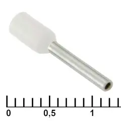 80006_1.jpg