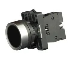 bv_1_ca25_1.jpg