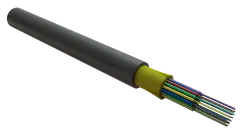 foc5003_d_io24_hf_0500_1.jpg